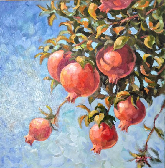 Pomegranates