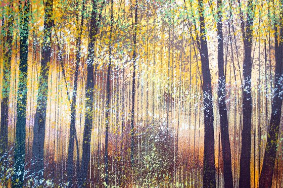 Autumn Forest Trees 4