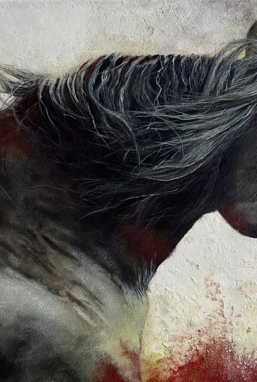 Solace by Paul Hardern