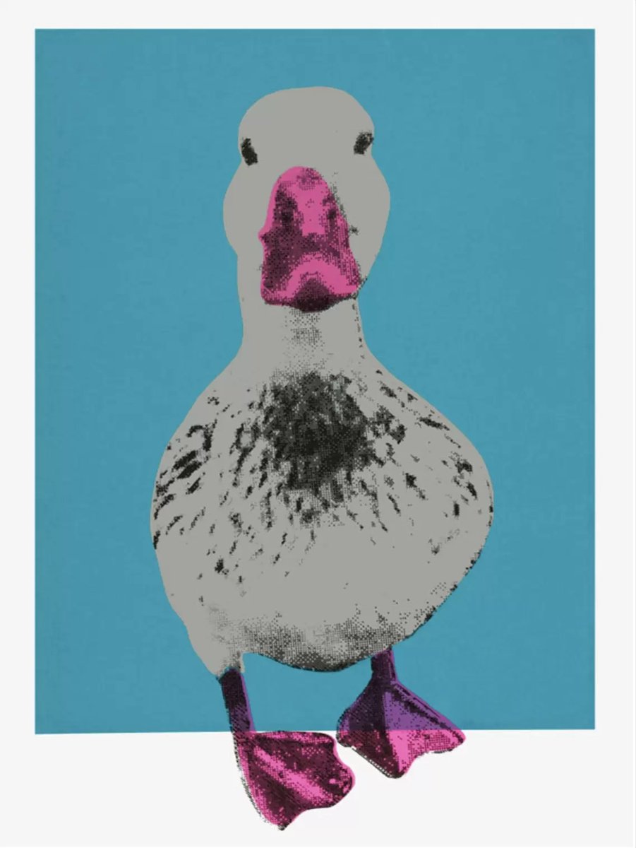 Urban And Pop Animal Print By Charlotte Gerrard, 20 X 28, Nice Duck, Original Artwork