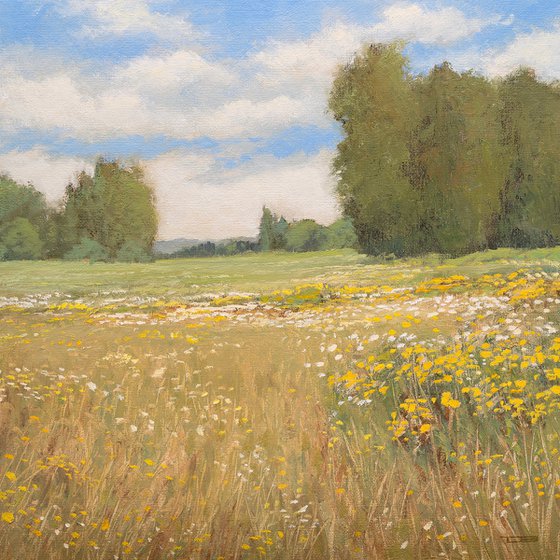 Summer Flowers 260204