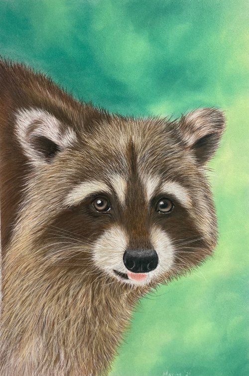 Racoon by Maxine Taylor