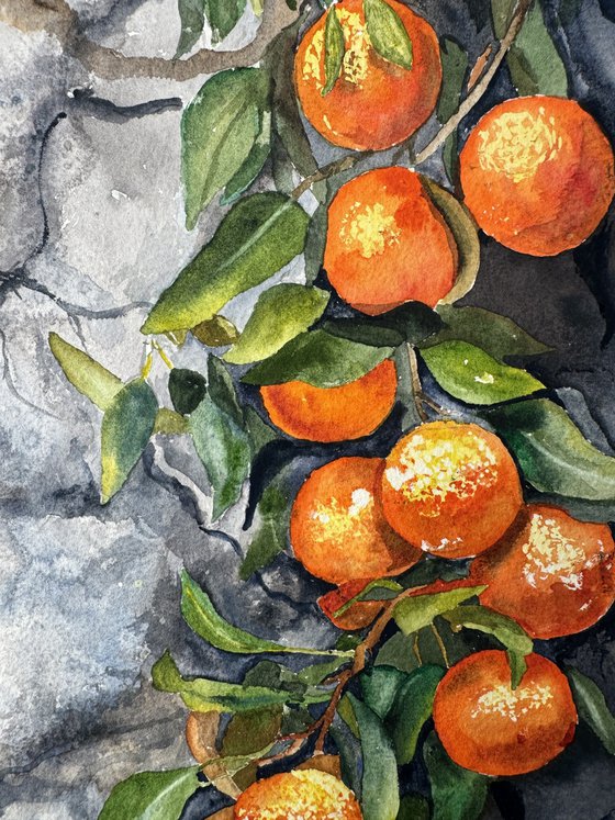 Whispers Through the Wall - Oranges