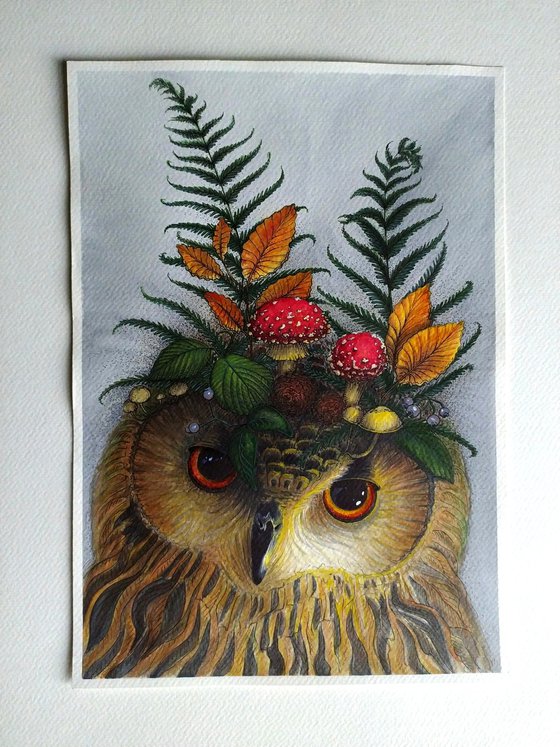 Forest owl