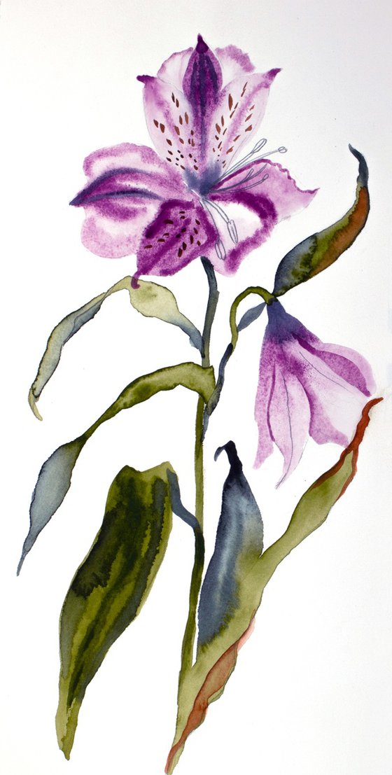 Lilies No. 11