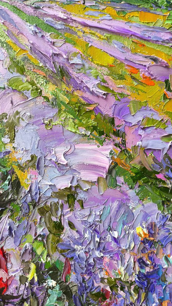 Lavender Field