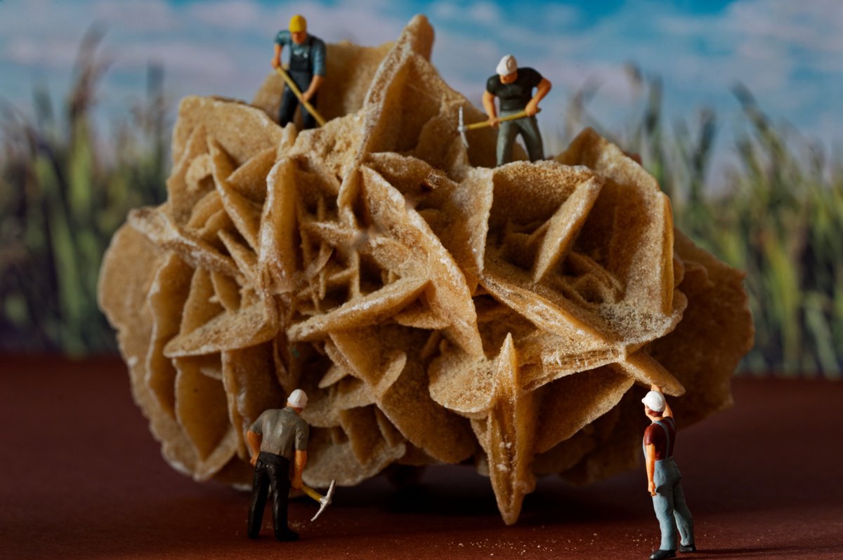 Organic Abstract Photograph By Marc Ehrenbold, 40 X 30", Desert Rose Mining, Original Artwork