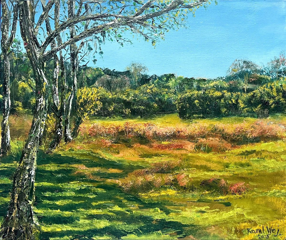 Broadley (View At Brownhills On The Left) By Kamil Woj, 24 X 20, Artwork For Sale On Artfinder