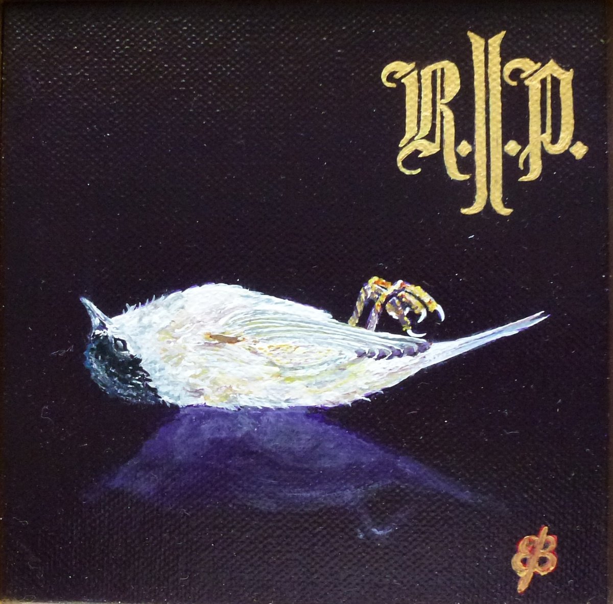 Photorealistic Still Life Acrylic Painting By Lena Smirnova, 7 X 7", Rip, Original Artwork