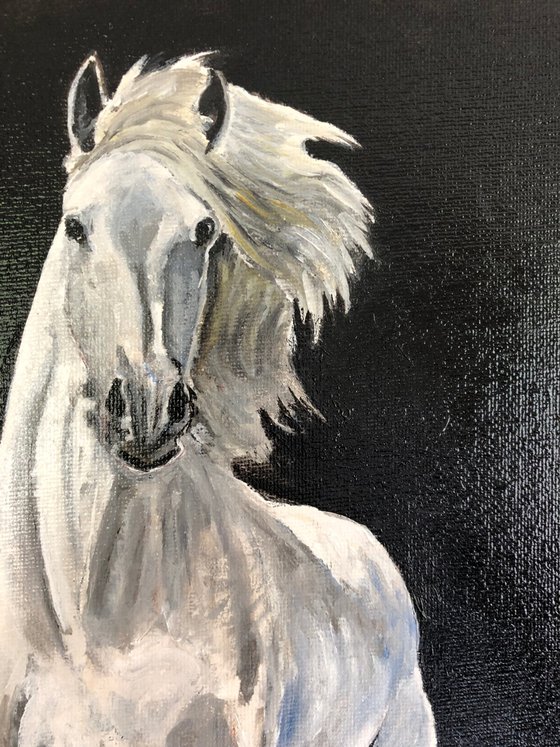 WHITE HORSE