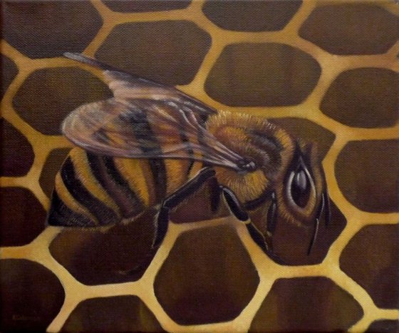 Bee On Honeycomb