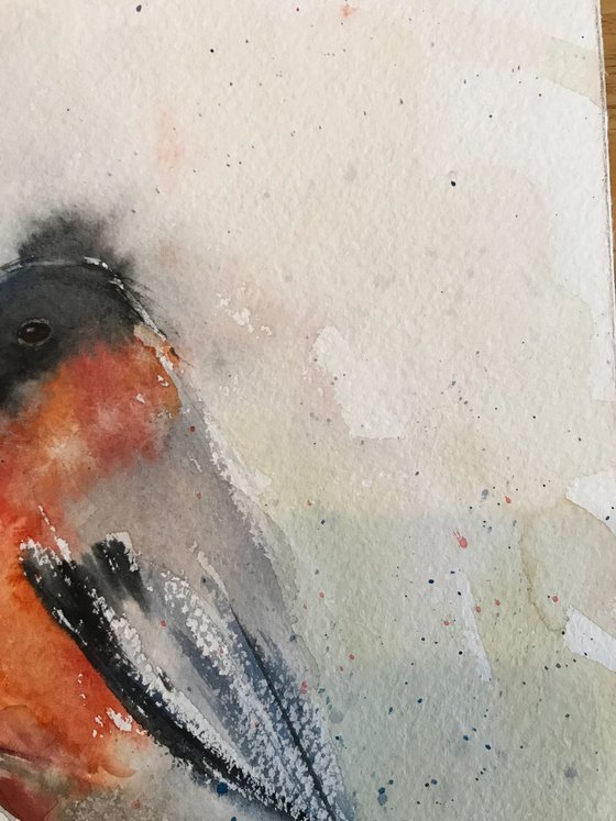 Bullfinch (small bird) - 20 x 29 cm