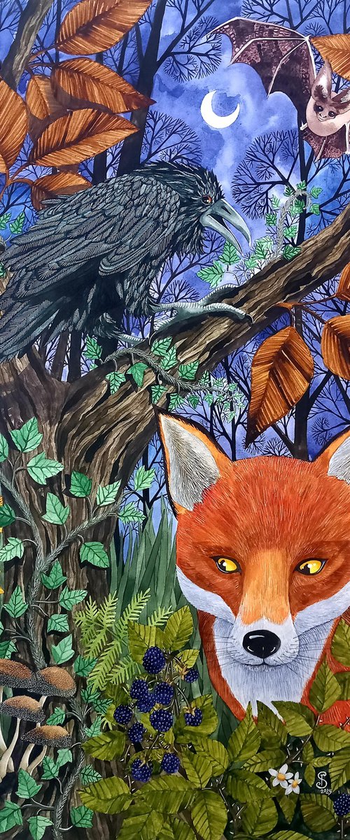 Night Watch by Terri Smith