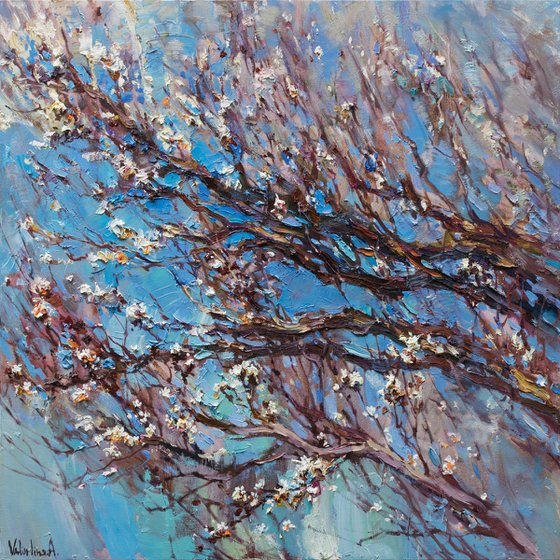 Flowering apricot tree - Original oil painting