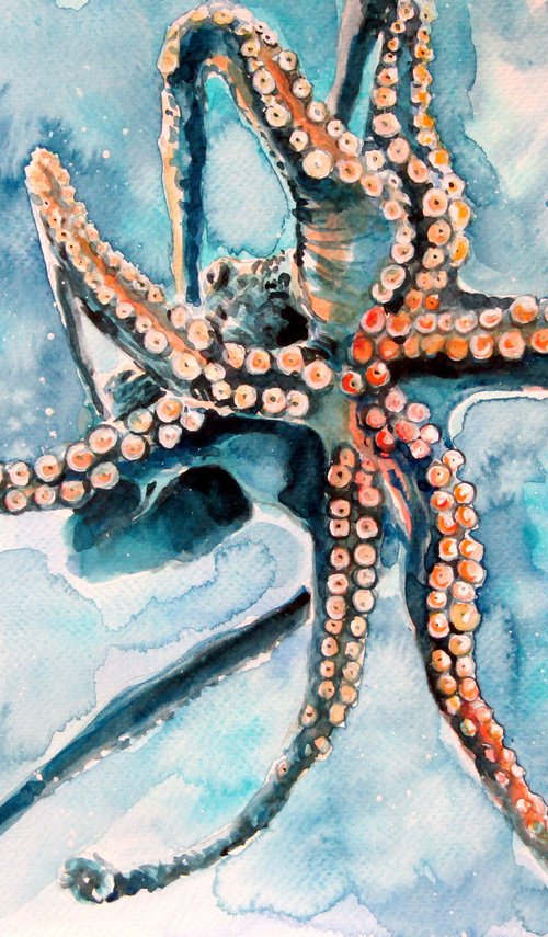 Octopus by Kovács Anna Brigitta