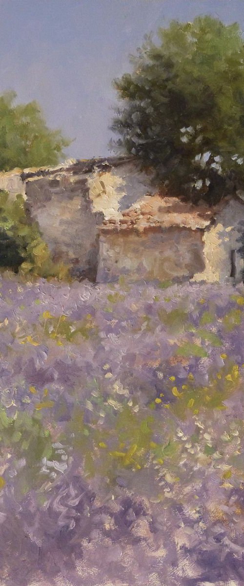 Shed in a Lavender Field by Pascal Giroud