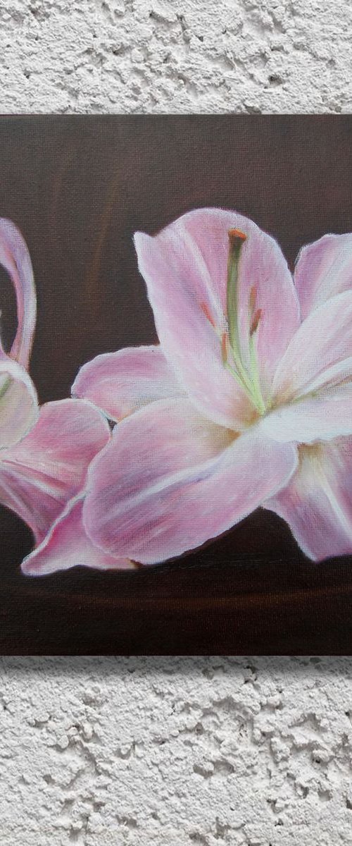 Pink lily by Ira Whittaker