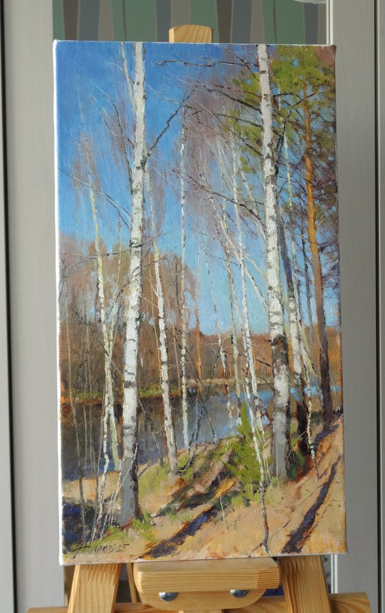 Spring on the Chibyshva River