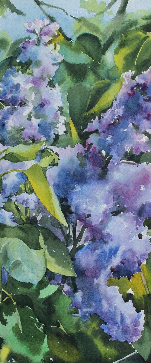 LILAC by Yurii Pashkov