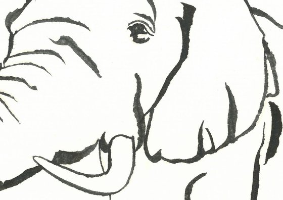 Elephant I Animal Drawing