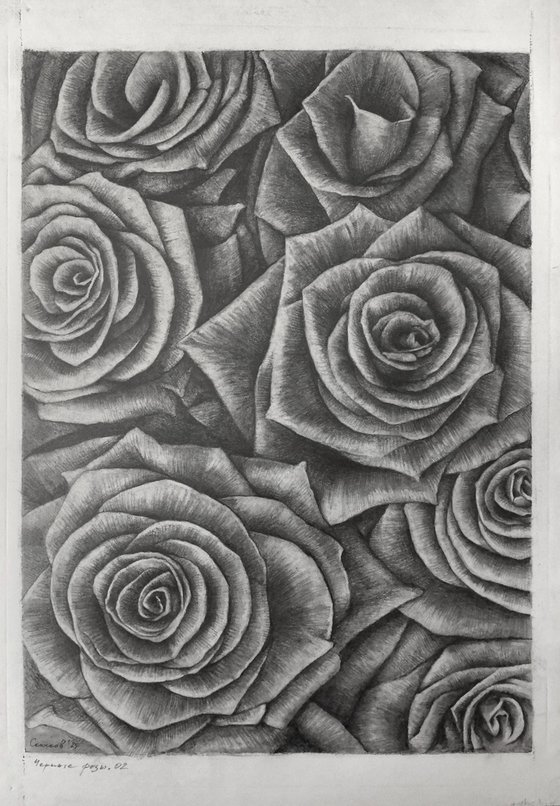 Roses. Sheet 02. Graphite Flowers Series