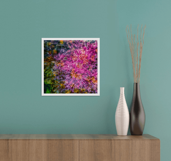 Abstract Flowers #6. Limited Edition 1/25 12x12 inch Photographic Print.