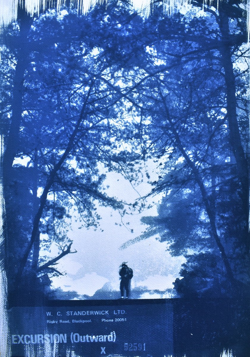 Landscape Print By Manel Villalonga, 17 X 24", Cyanotype 31 The Trip, Original Artwork