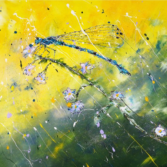Dragonfly Poetry
