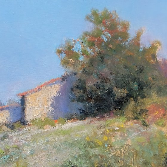 Garrigues in Provence