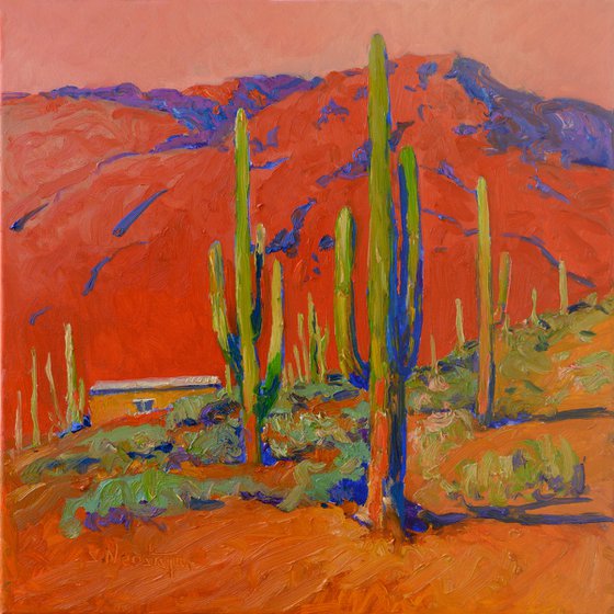 Bright Sun of the Evening Desert