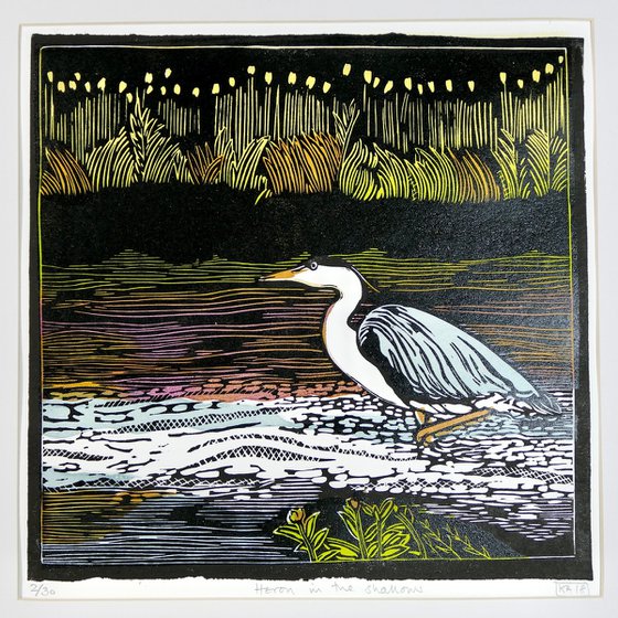 Heron in the shallows