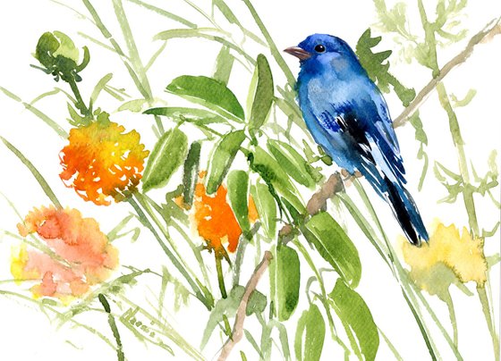 Indigo Bunting