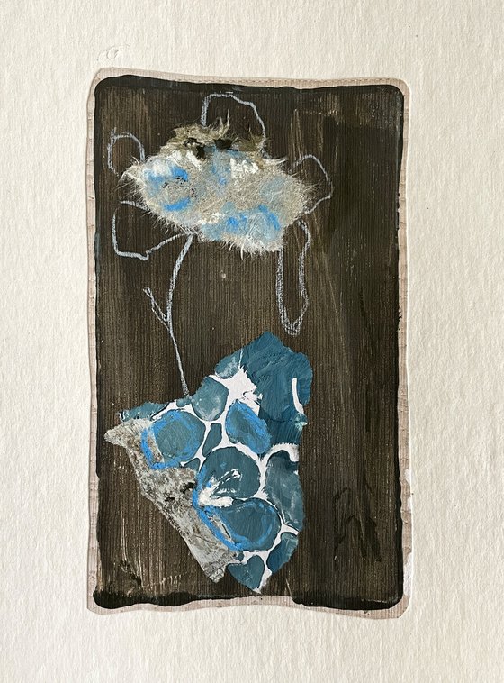 Blue Tortoise I