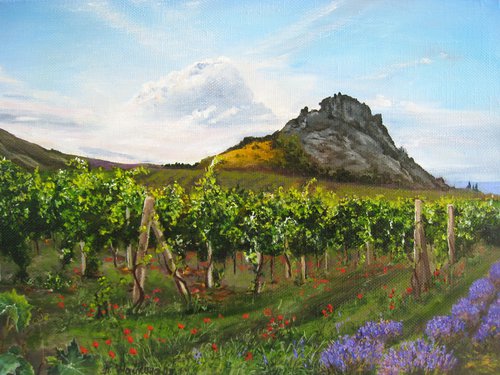 Serene Vineyards and Lavender Fields, Meadow Landscape by Natalia Shaykina