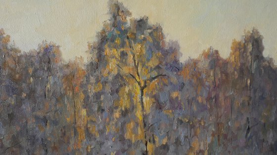 Sunlight Through The Trees- winter landscape painting