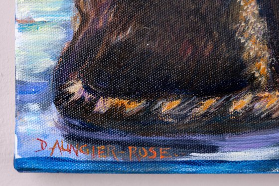 WINDOWSILL CAT WITH RED AMARYLLIS