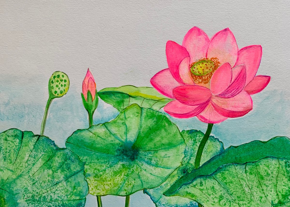 Lotus Bloom I ! A3 size Painting on paper by Amita Dand