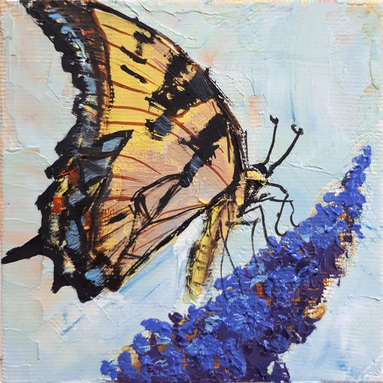 Butterfly #3 IN FRAME  /  FROM MY A SERIES OF MINI WORKS / ORIGINAL OIL PAINTING