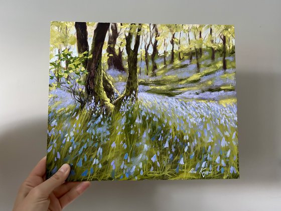 Bluebell wood