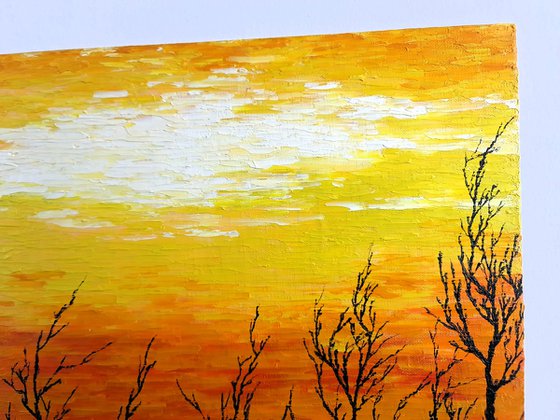 Sunny trees