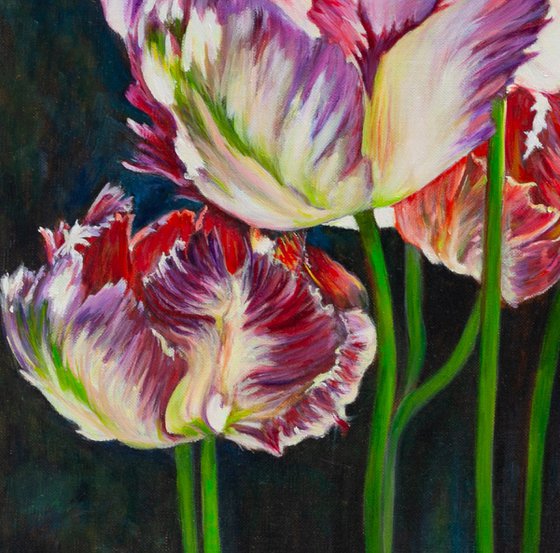 Tulips In The Sunlight