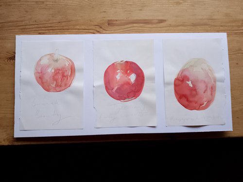 Trio of apples by Hannah Clark