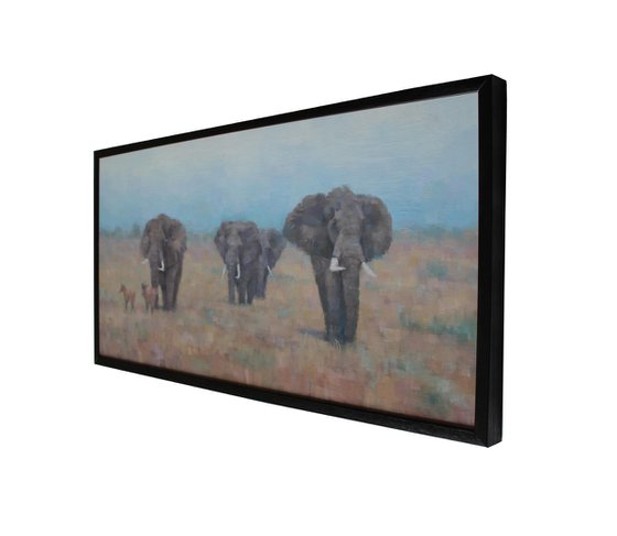 Kenyan Elephants