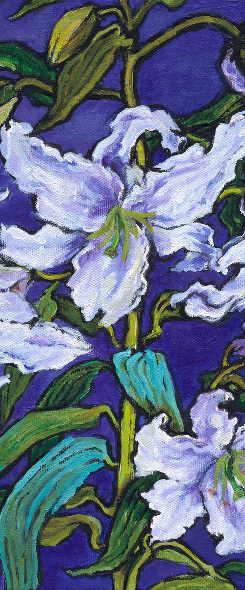 Lily on Purple background by Patricia Clements