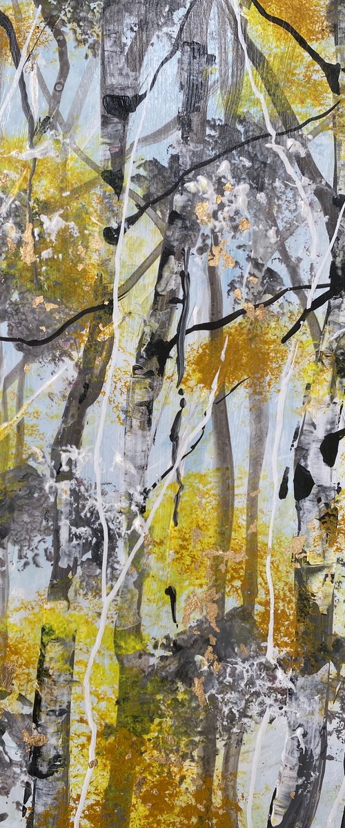 Autumn Silver Birch Trunks  2 by Teresa Tanner