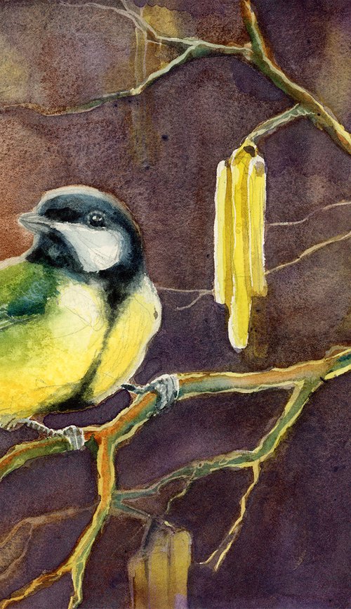 Great tit with hazel tree, wildlife, birds watercolours by Karolina Kijak