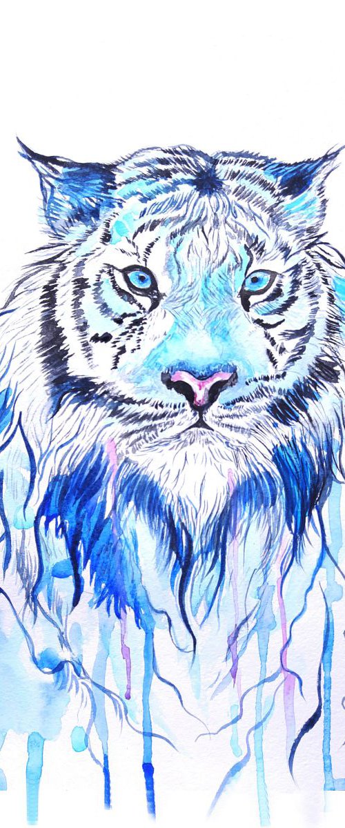 Tiger by Luba Ostroushko
