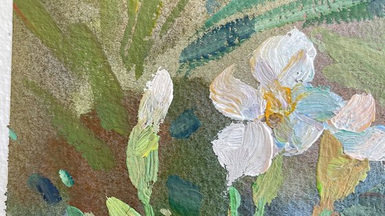 Irises in the garden