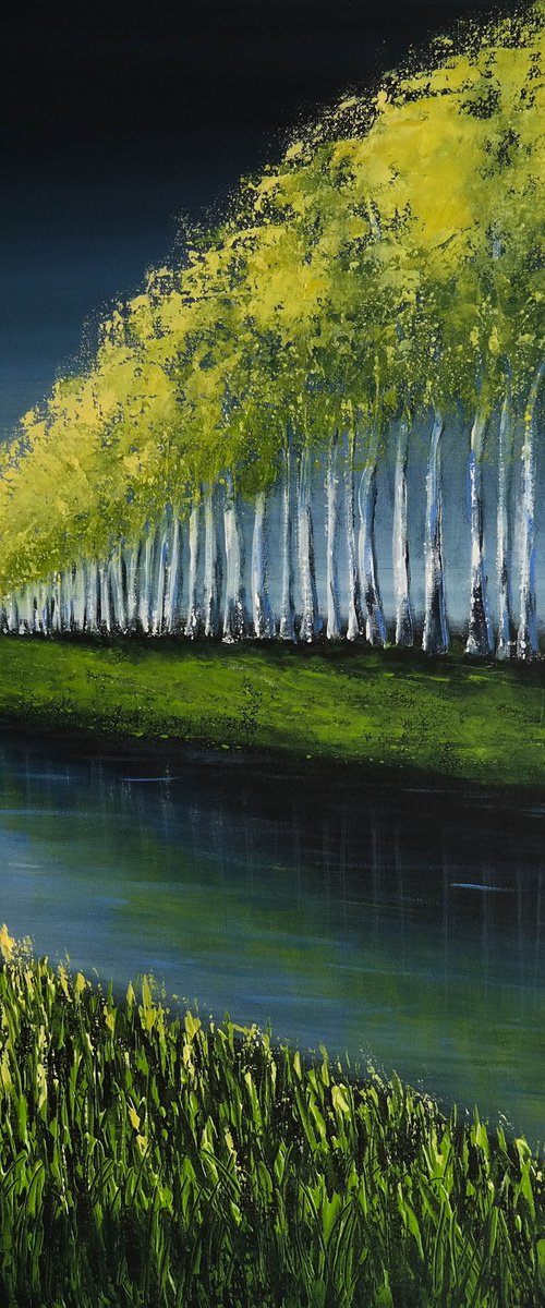 Somewhere is Spring- Water and  Trees Series by Danijela Dan