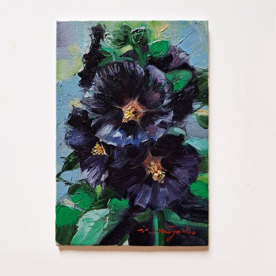 Black Hollyhock